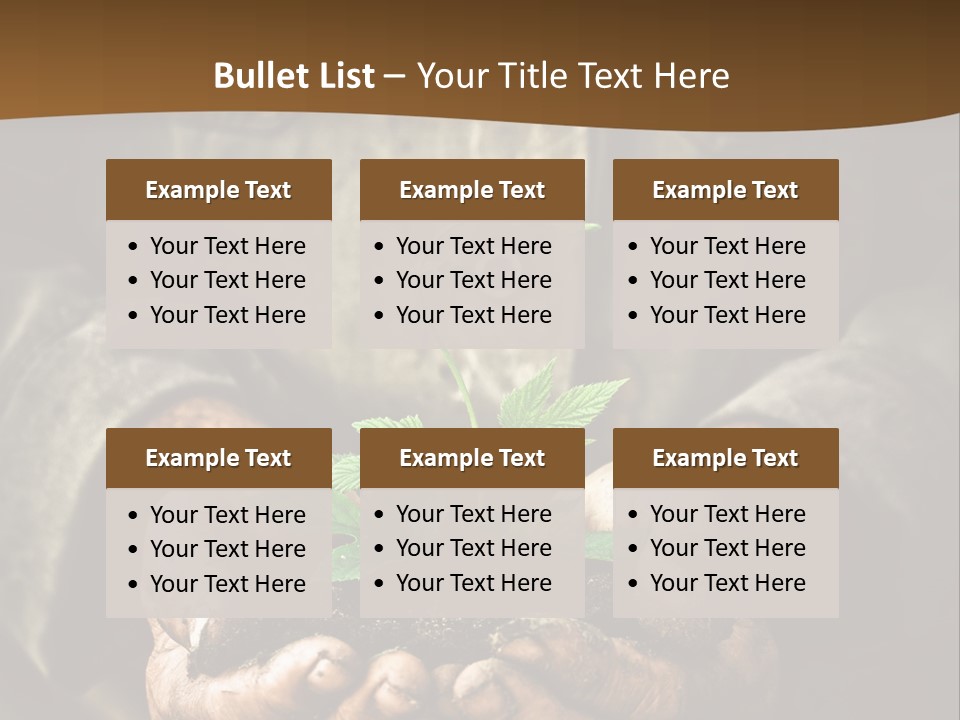 Tree Small Old PowerPoint Template