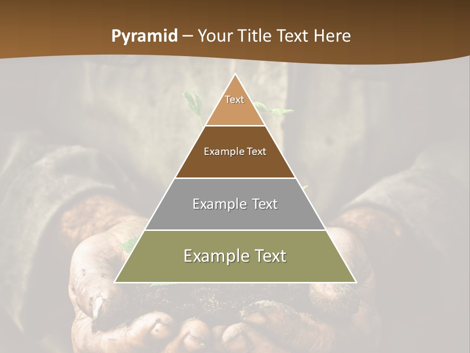 Tree Small Old PowerPoint Template