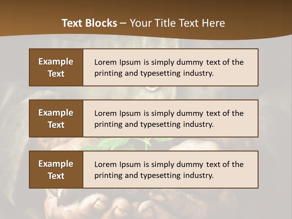 Tree Small Old PowerPoint Template