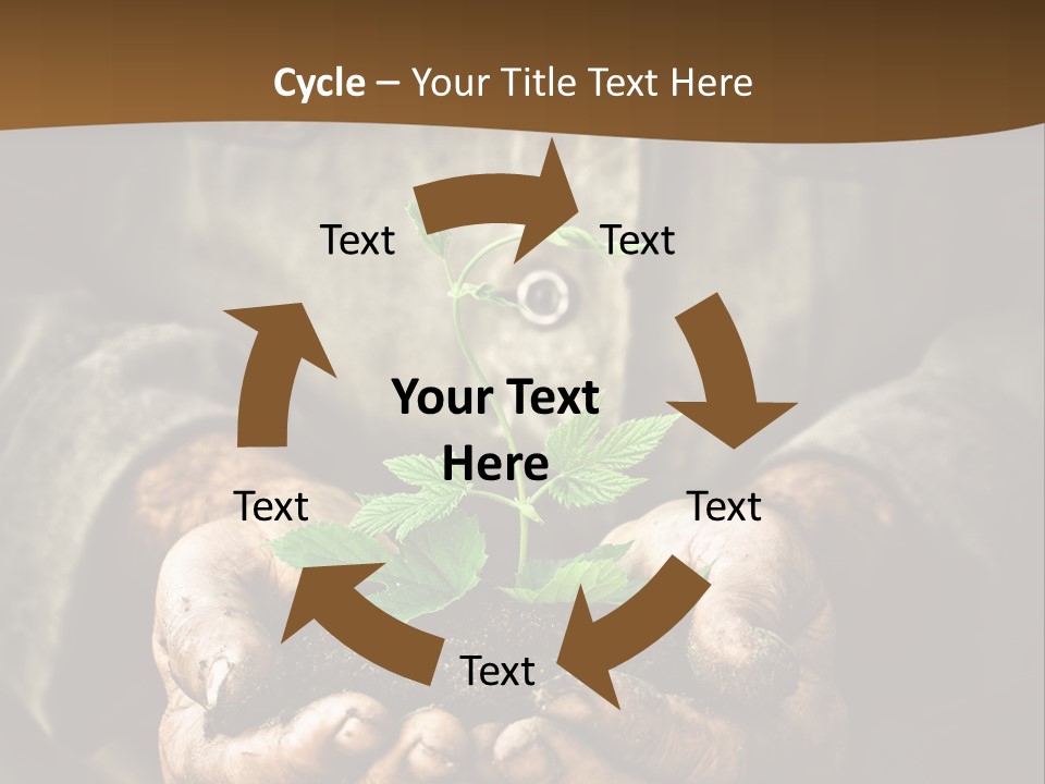 Tree Small Old PowerPoint Template