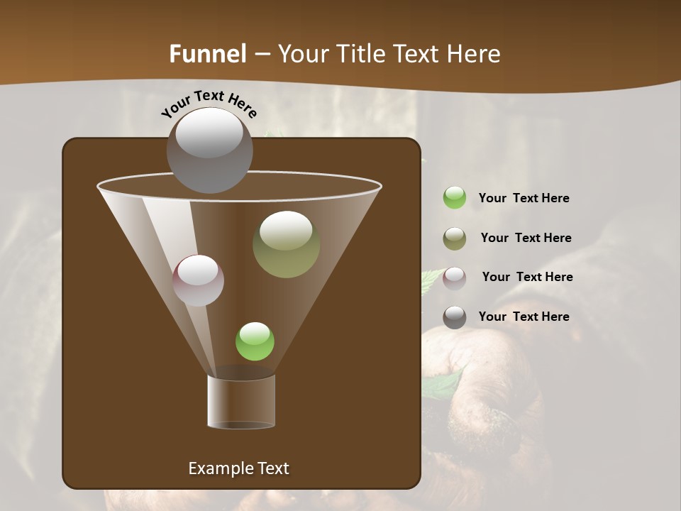 Tree Small Old PowerPoint Template