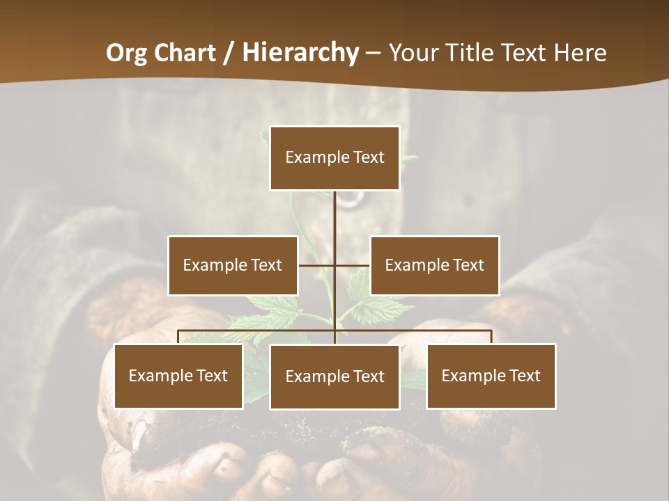 Tree Small Old PowerPoint Template