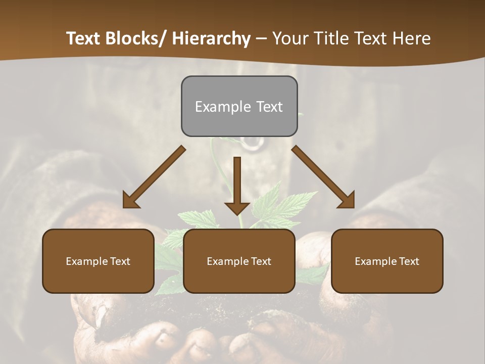 Tree Small Old PowerPoint Template