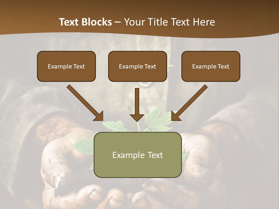 Tree Small Old PowerPoint Template