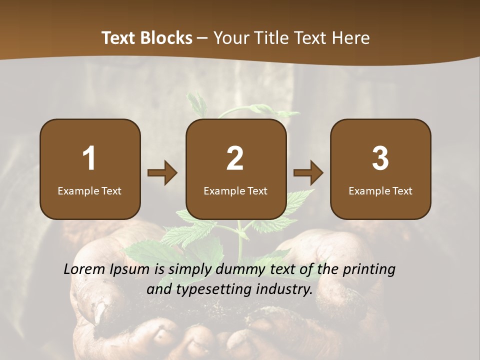 Tree Small Old PowerPoint Template