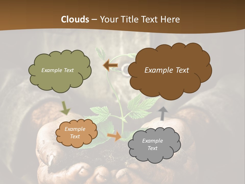 Tree Small Old PowerPoint Template
