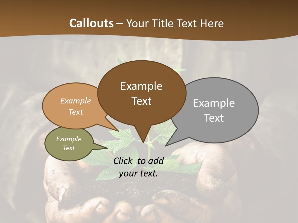 Tree Small Old PowerPoint Template