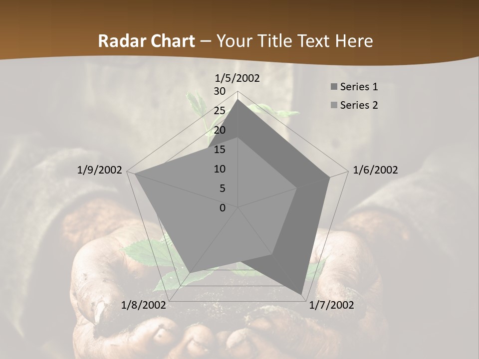 Tree Small Old PowerPoint Template