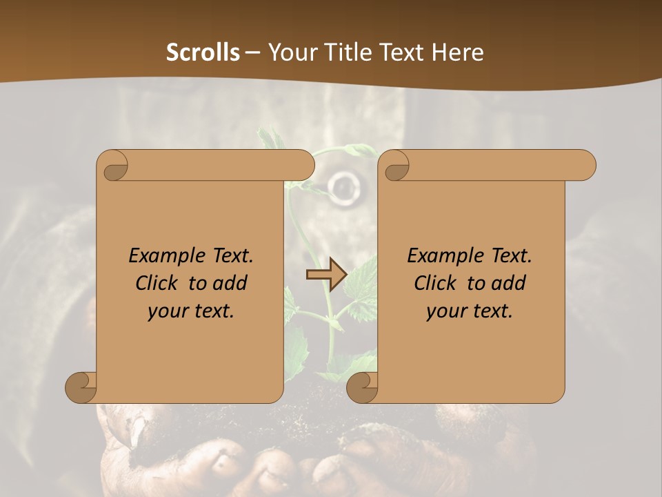 Tree Small Old PowerPoint Template