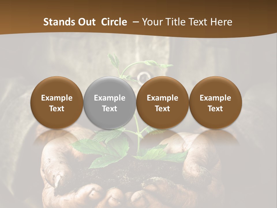 Tree Small Old PowerPoint Template