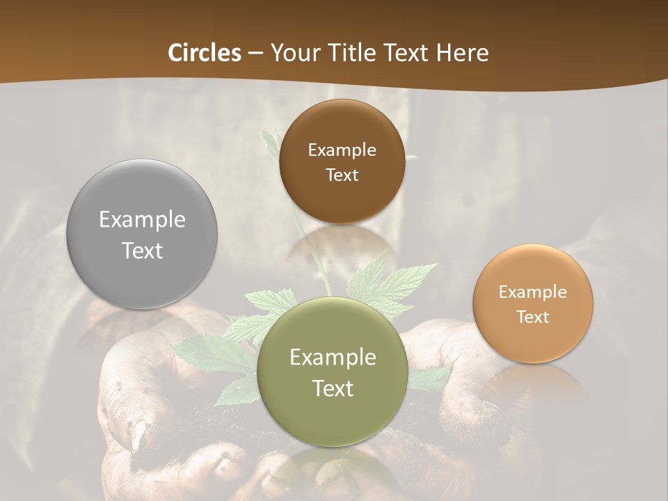 Tree Small Old PowerPoint Template
