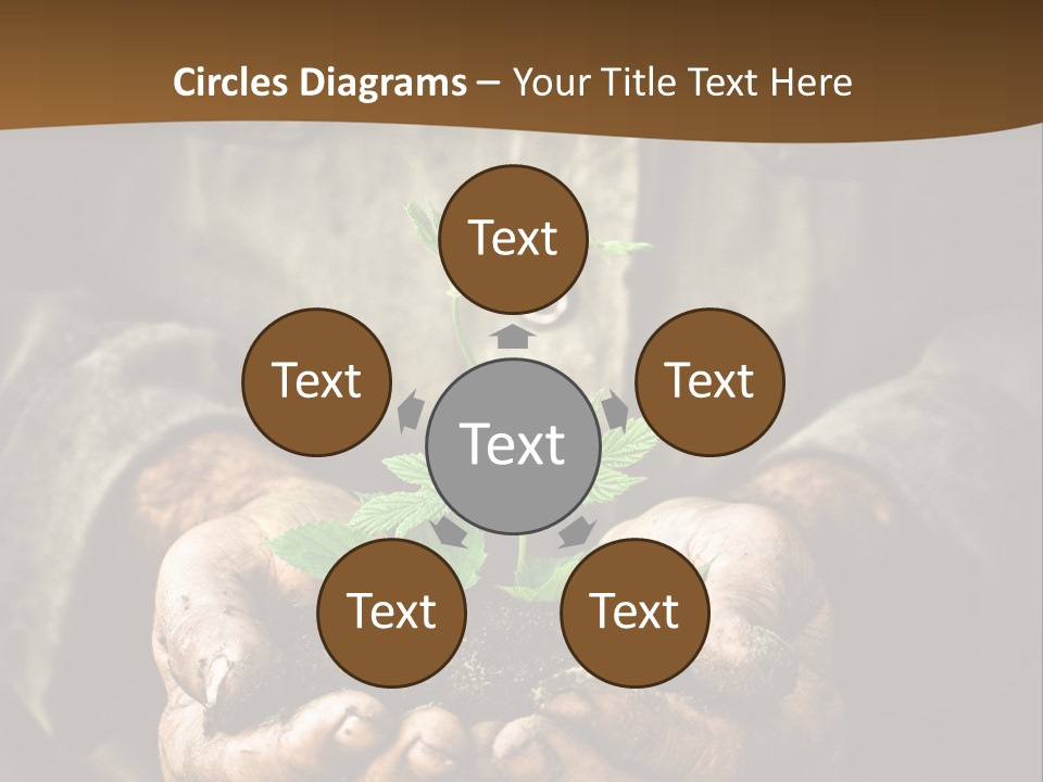 Tree Small Old PowerPoint Template