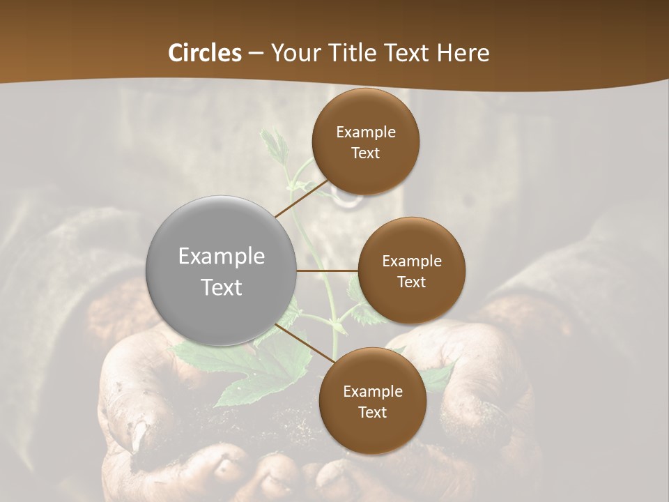 Tree Small Old PowerPoint Template