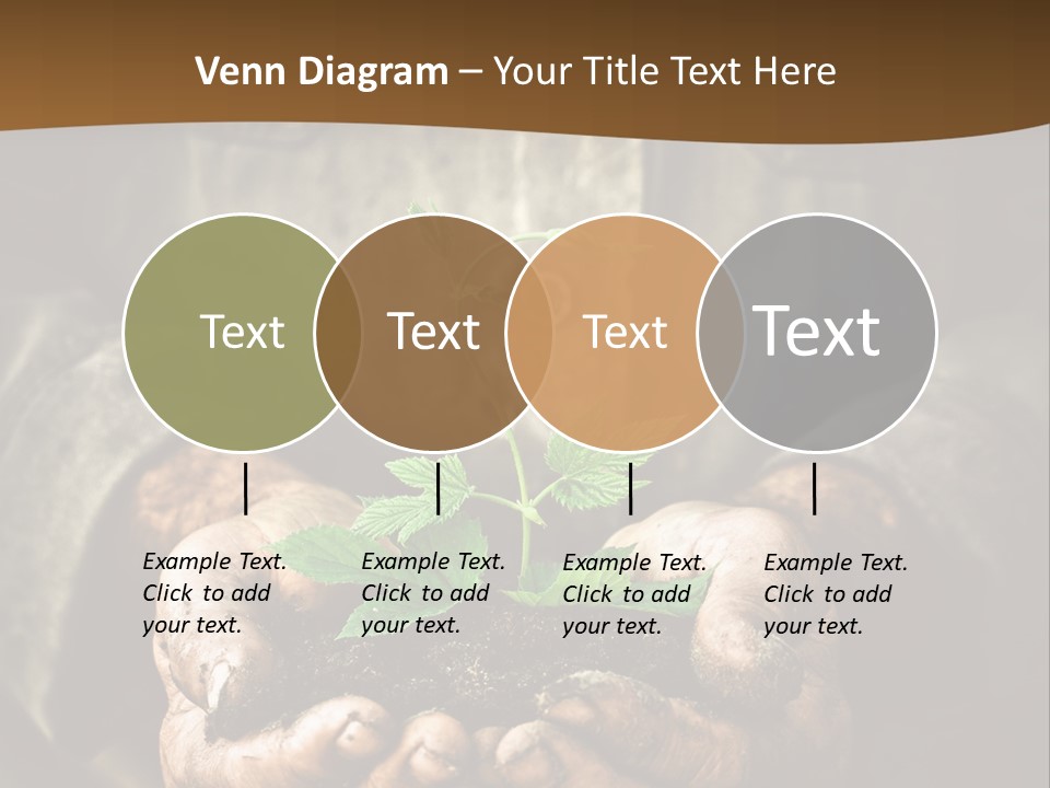 Tree Small Old PowerPoint Template