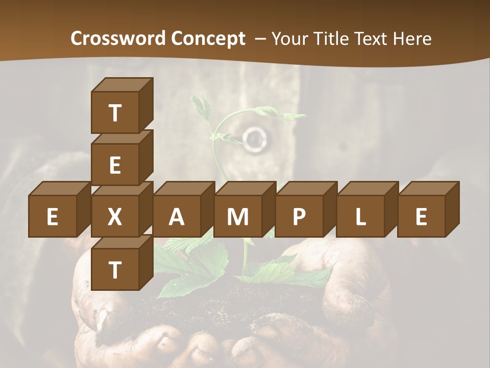 Tree Small Old PowerPoint Template