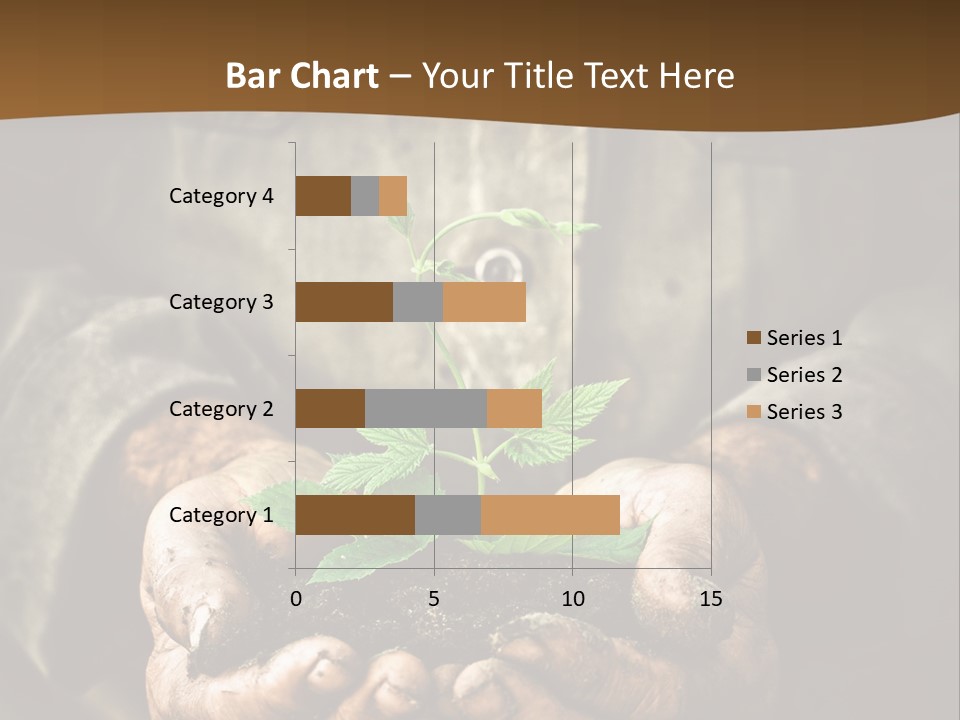 Tree Small Old PowerPoint Template