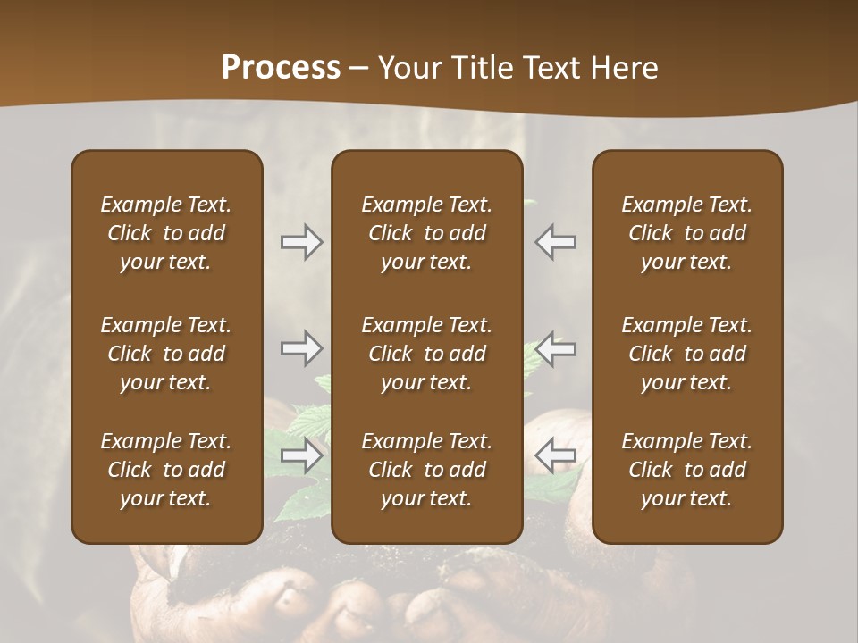 Tree Small Old PowerPoint Template