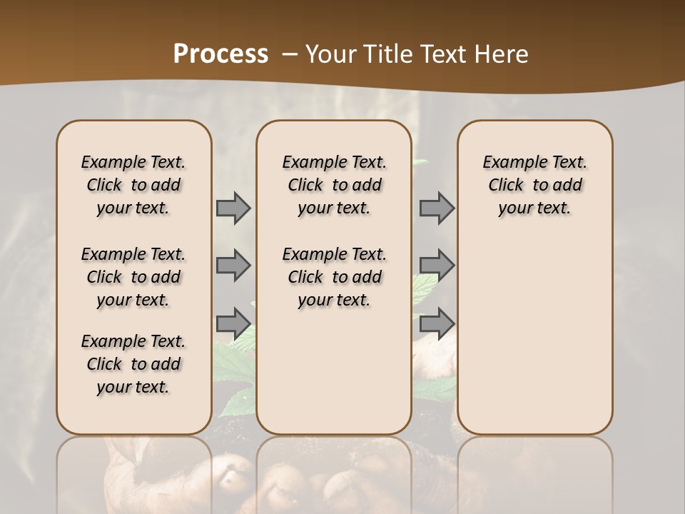 Tree Small Old PowerPoint Template
