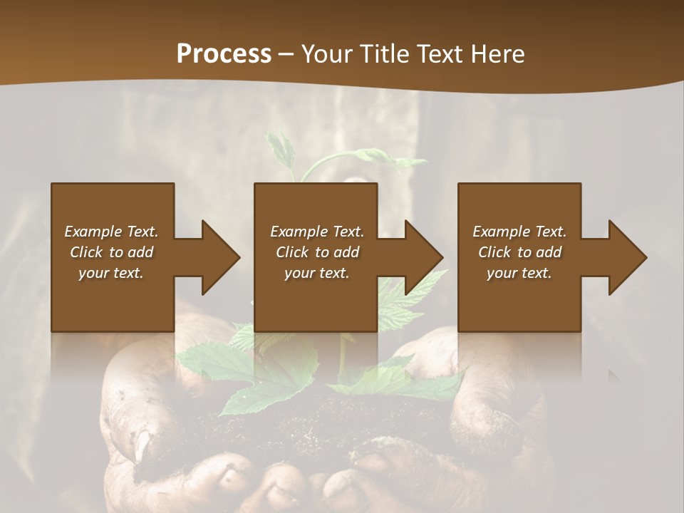 Tree Small Old PowerPoint Template