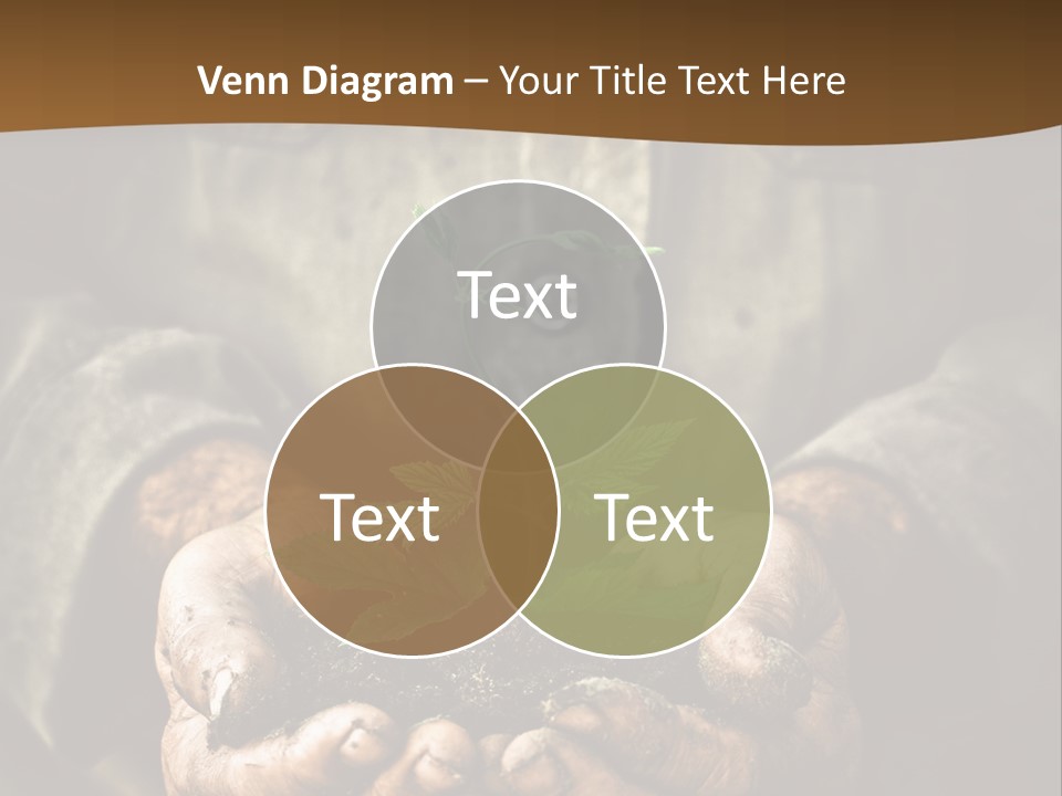 Tree Small Old PowerPoint Template