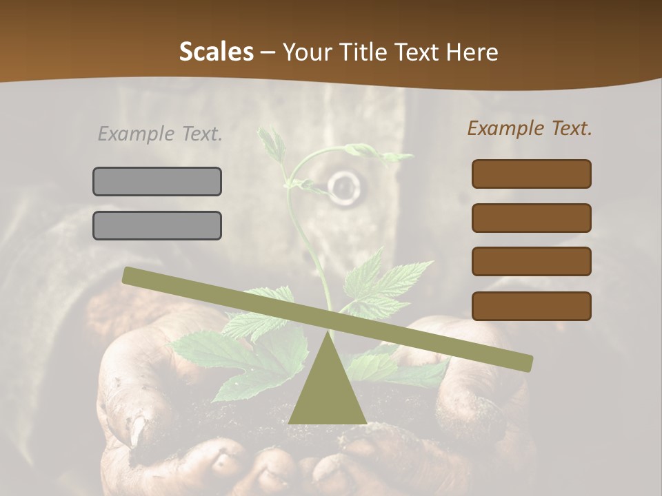 Tree Small Old PowerPoint Template