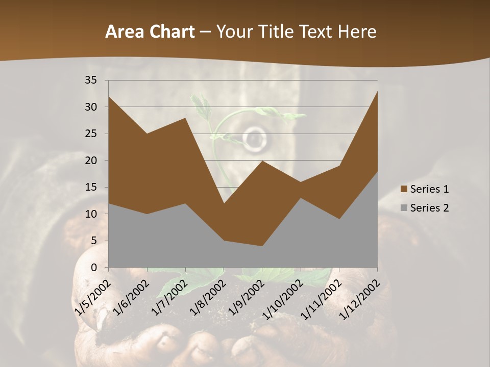 Tree Small Old PowerPoint Template