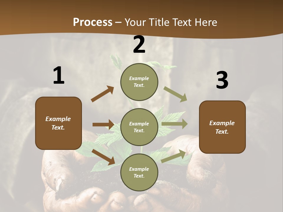 Tree Small Old PowerPoint Template