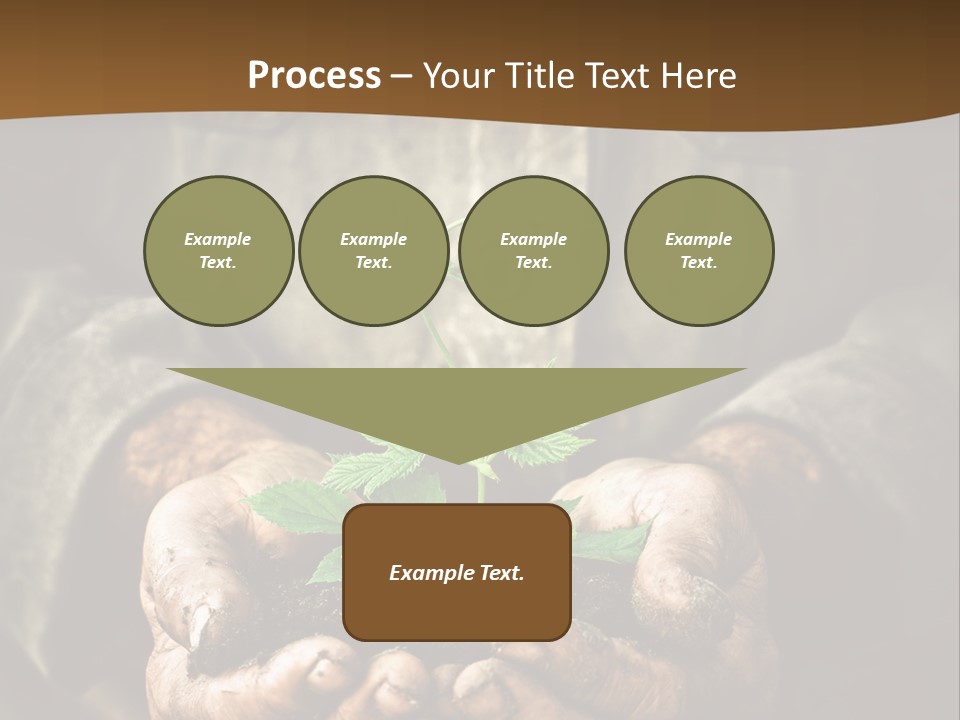 Tree Small Old PowerPoint Template