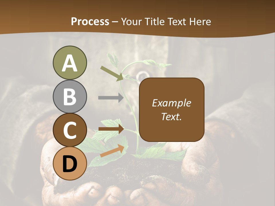 Tree Small Old PowerPoint Template