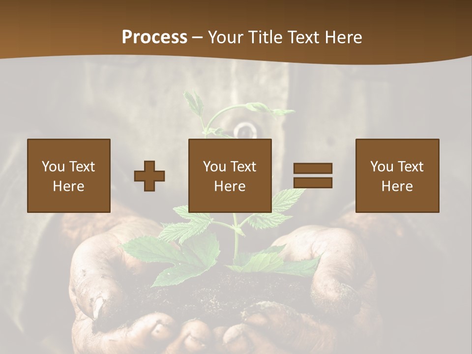 Tree Small Old PowerPoint Template