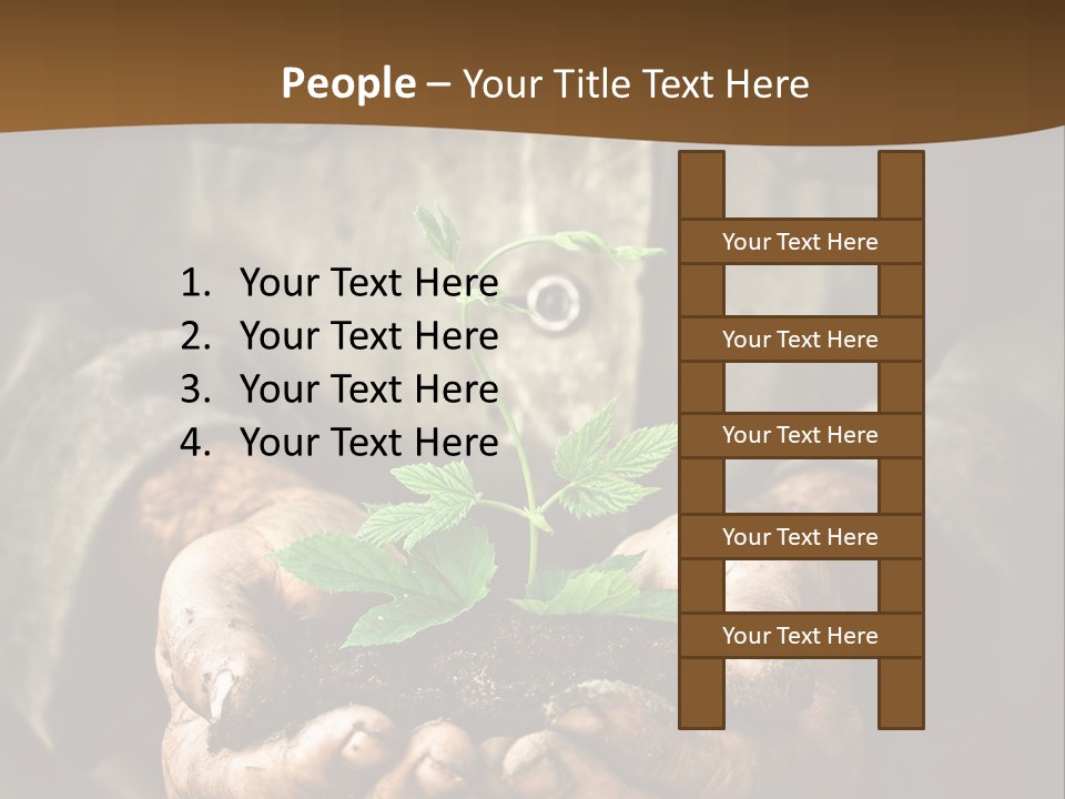 Tree Small Old PowerPoint Template