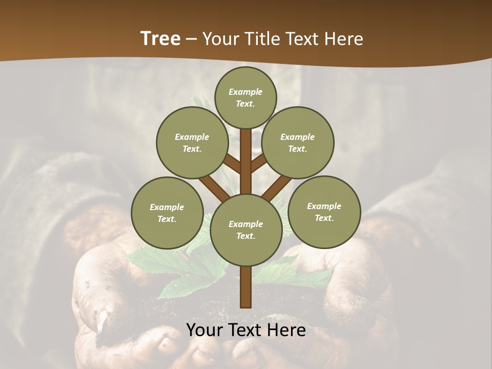 Tree Small Old PowerPoint Template