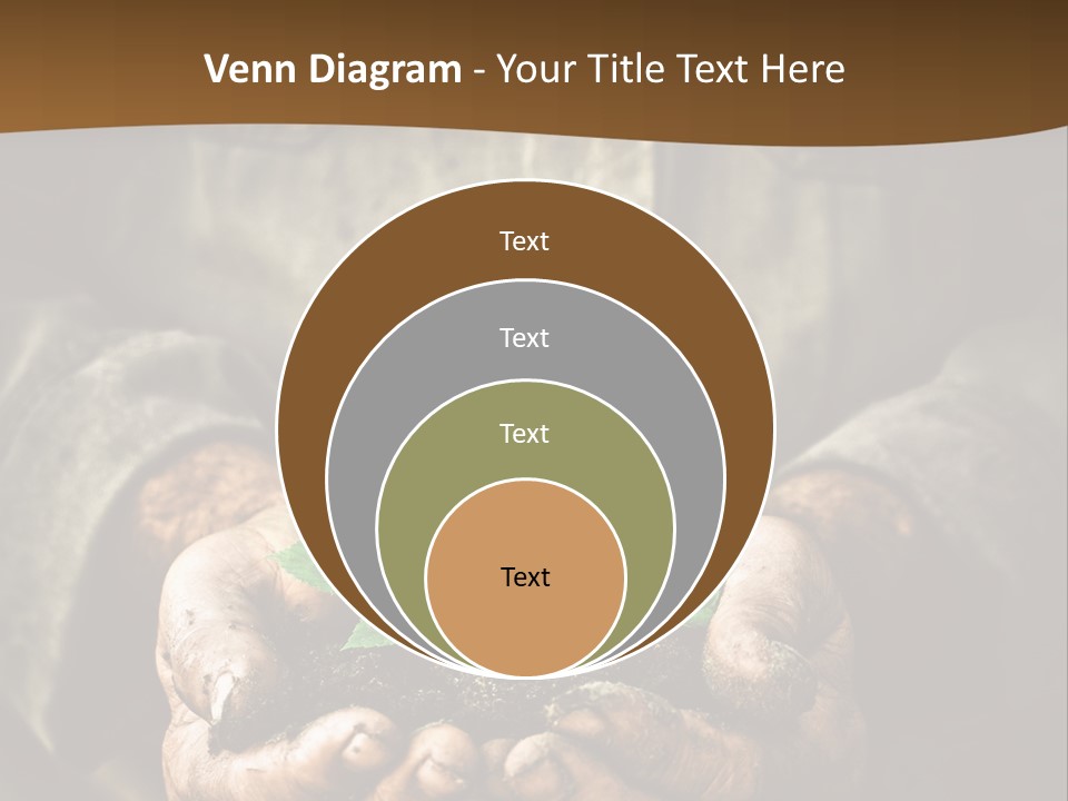 Tree Small Old PowerPoint Template