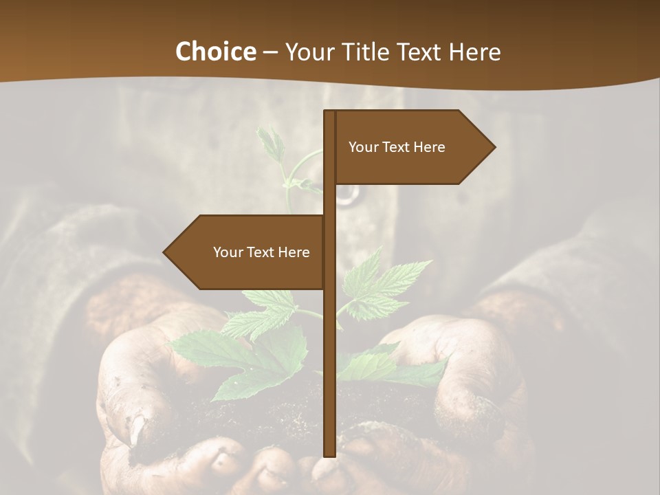 Tree Small Old PowerPoint Template