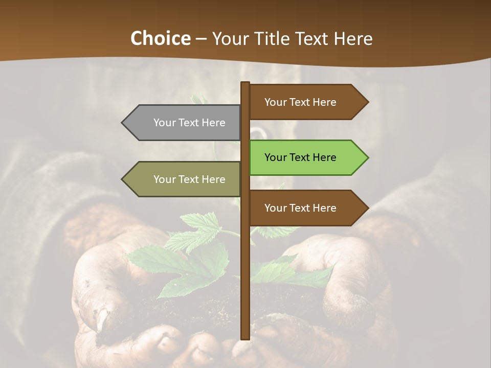 Tree Small Old PowerPoint Template
