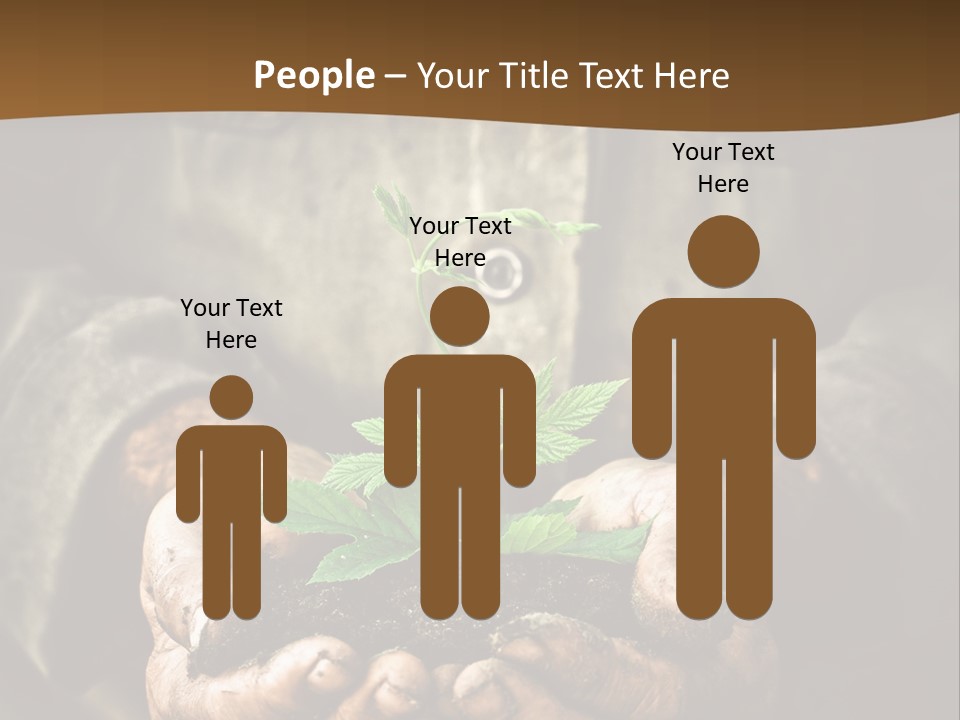 Tree Small Old PowerPoint Template