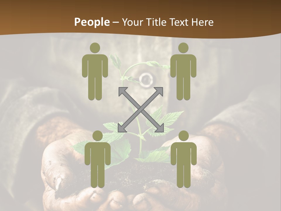 Tree Small Old PowerPoint Template
