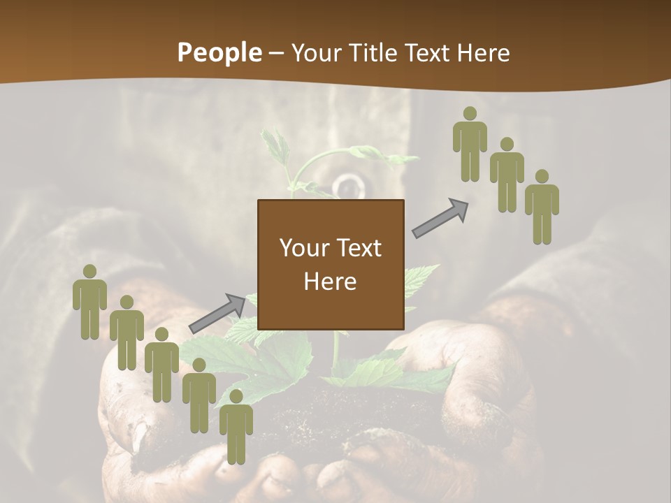 Tree Small Old PowerPoint Template