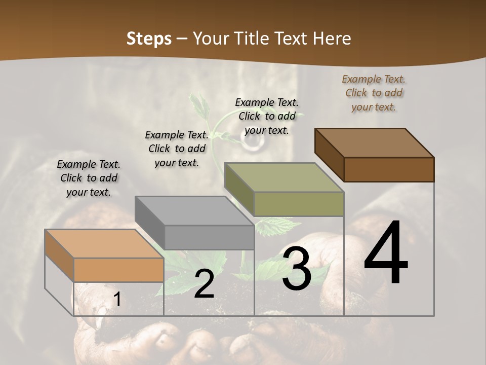 Tree Small Old PowerPoint Template
