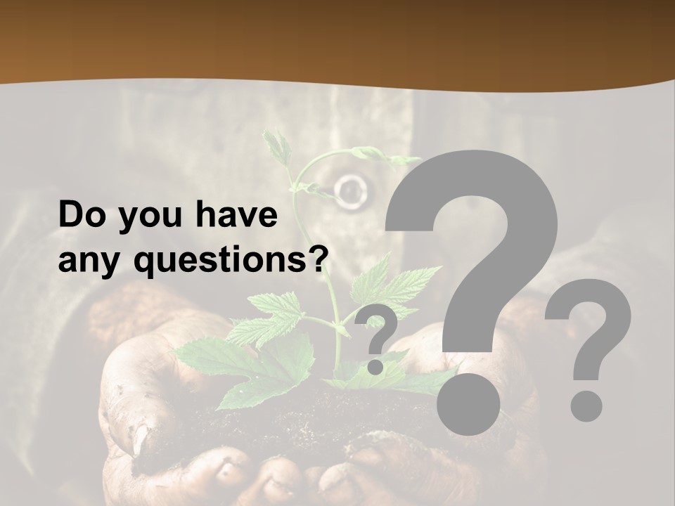 Tree Small Old PowerPoint Template