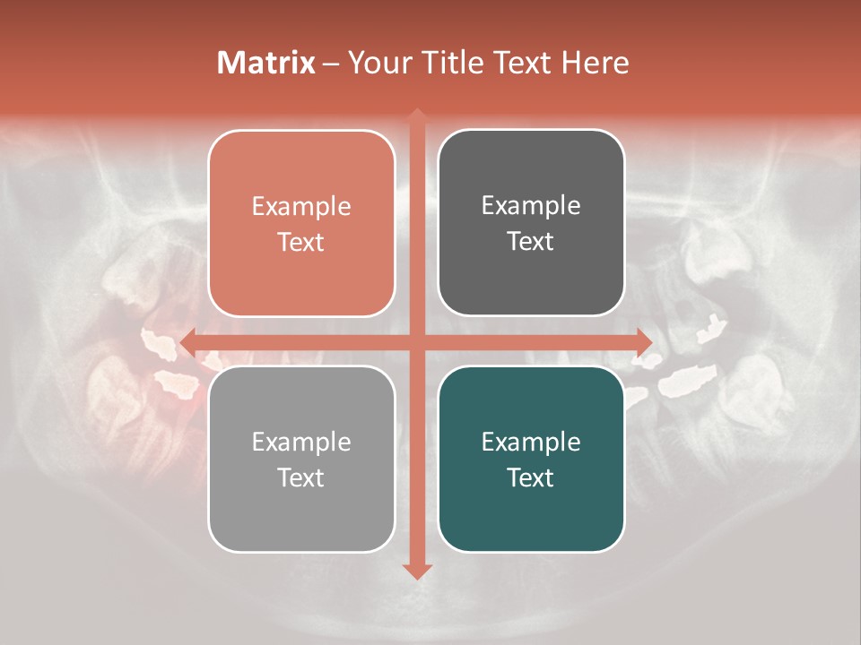 Skull Internal Jaw PowerPoint Template
