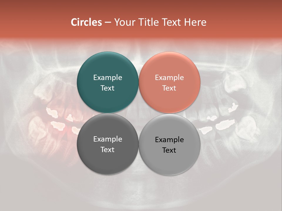 Skull Internal Jaw PowerPoint Template