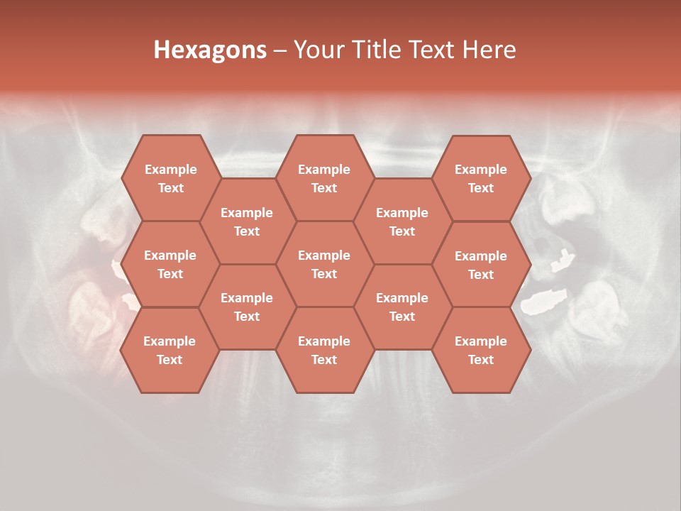 Skull Internal Jaw PowerPoint Template