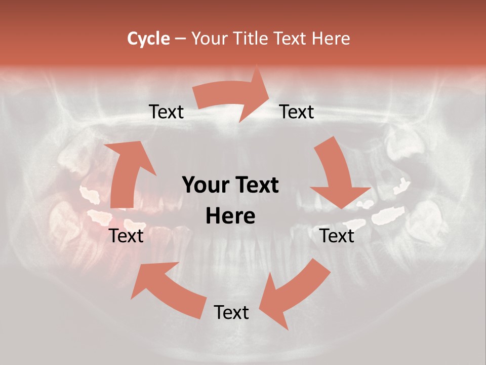 Skull Internal Jaw PowerPoint Template