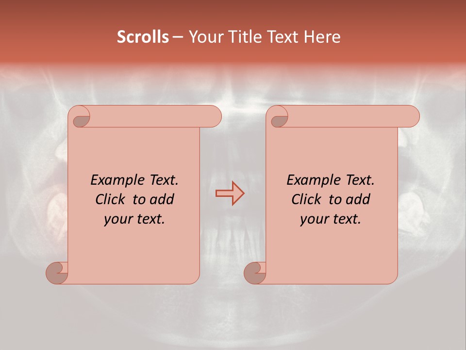 Skull Internal Jaw PowerPoint Template