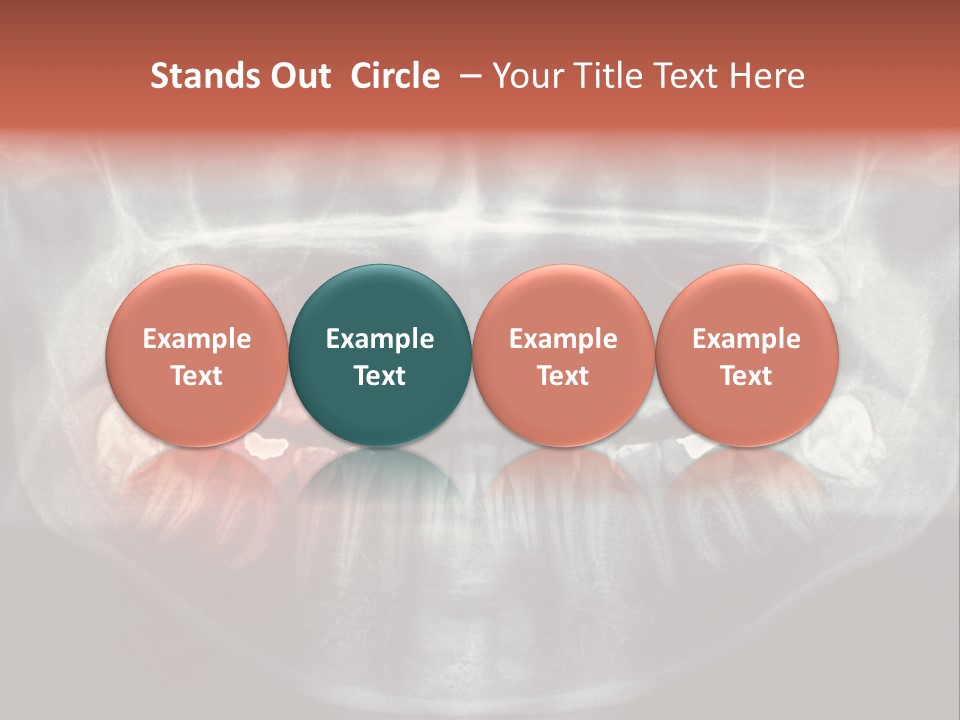 Skull Internal Jaw PowerPoint Template