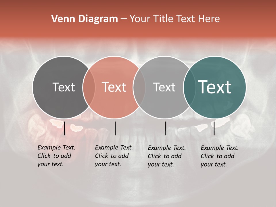 Skull Internal Jaw PowerPoint Template