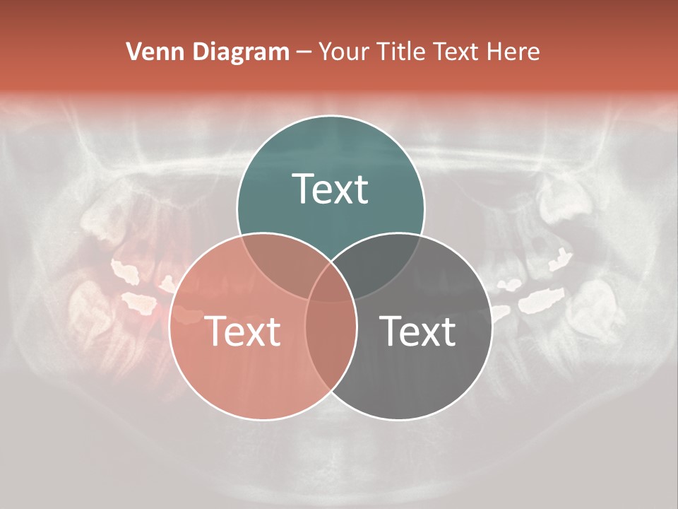 Skull Internal Jaw PowerPoint Template