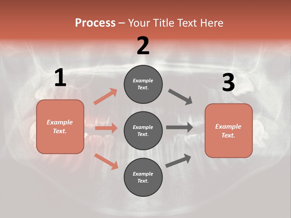 Skull Internal Jaw PowerPoint Template