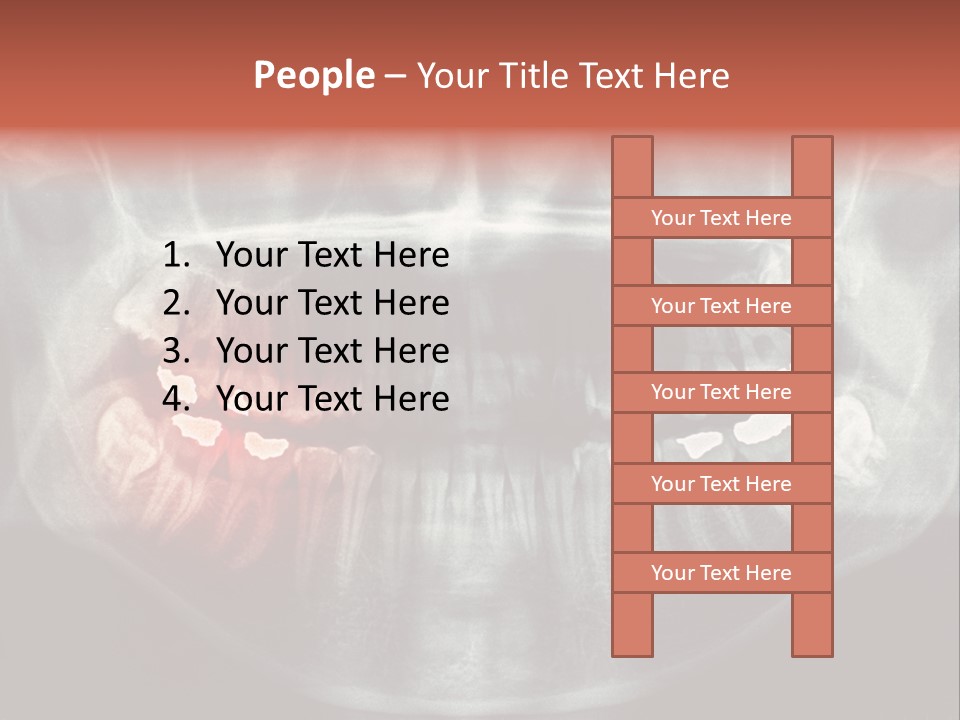 Skull Internal Jaw PowerPoint Template